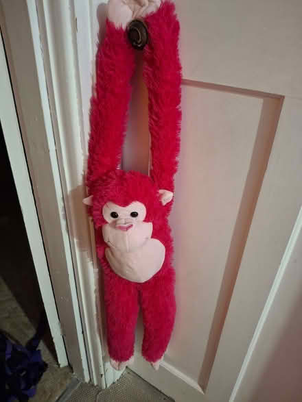 Photo of free Teddys (Penrith CA11) #2