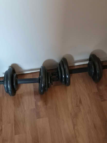 Photo of free Dressmaker's dummy, 2 weights, bedside lamp (Bathgate EH54) #1