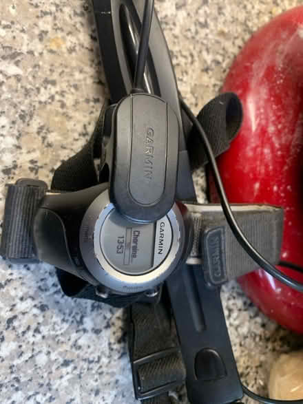 Photo of free Garlic forerunner and heart rate strap (Chesham HP5) #1