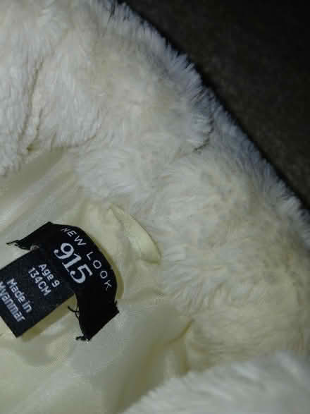 Photo of free Age 9 (Parkhead EH11) #2