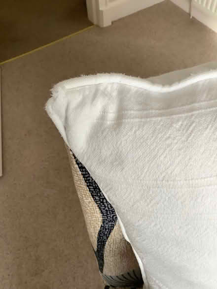 Photo of free Featherhall-filled cushions (Corstorphine EH12) #2
