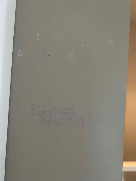 Photo of free Grey bookshelf/shelving Kingsteignton (Kingsteignton TQ12) #3