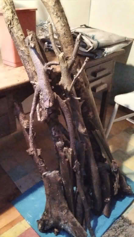 Photo of free Firewood (Emsworth PO10) #1