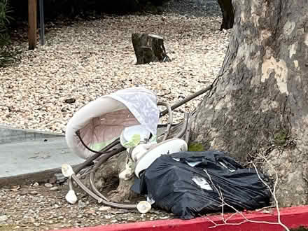 Photo of free Grace Swing Motorized Swing Set (5 Octavia Street, San Rafael) #2