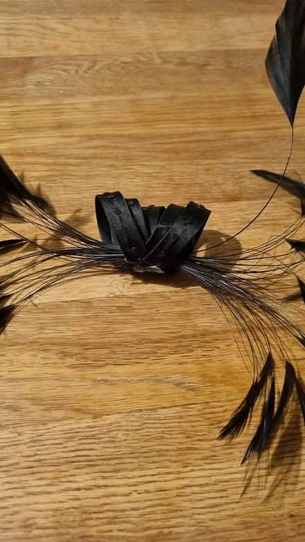Photo of free Fascinator (Cardonald G52) #3