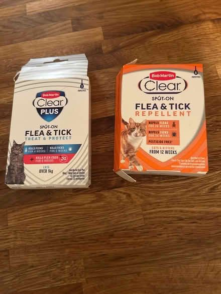 Photo of free Cat flea treatment (SG11 2BS) #1