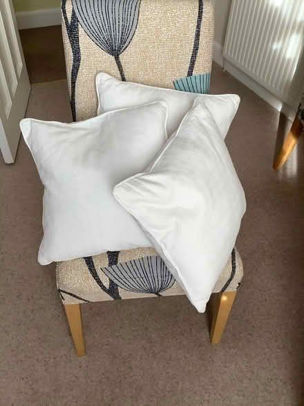 Photo of free Featherhall-filled cushions (Corstorphine EH12) #1