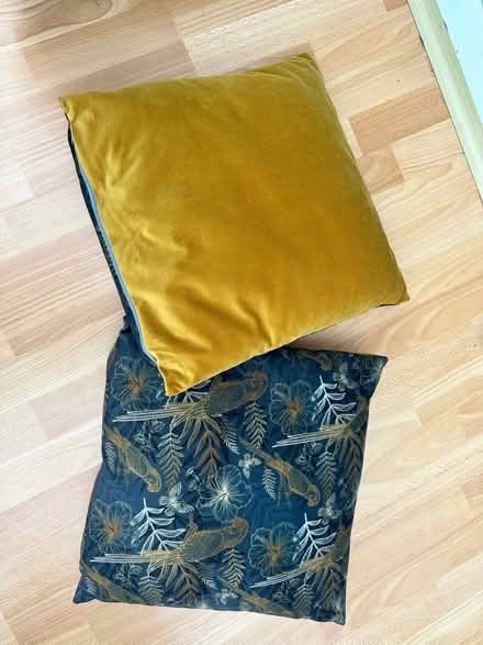 Photo of free 2 Velvet Cushions (Blaby LE8) #2