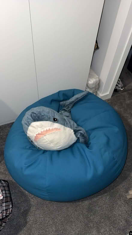 Photo of free Shark (Gilesgate) #2