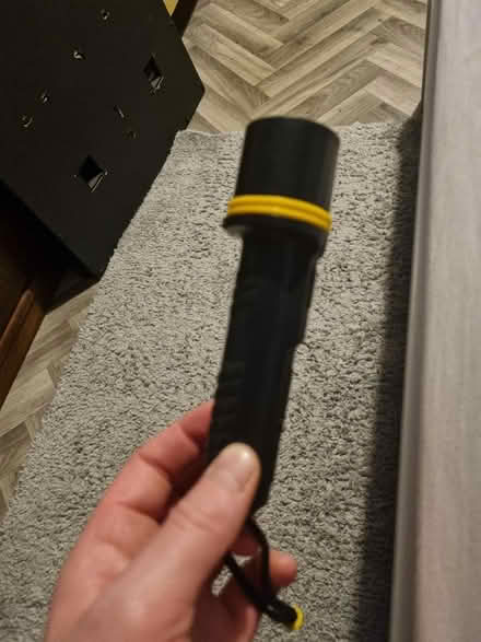 Photo of free Torch (SE20) #2