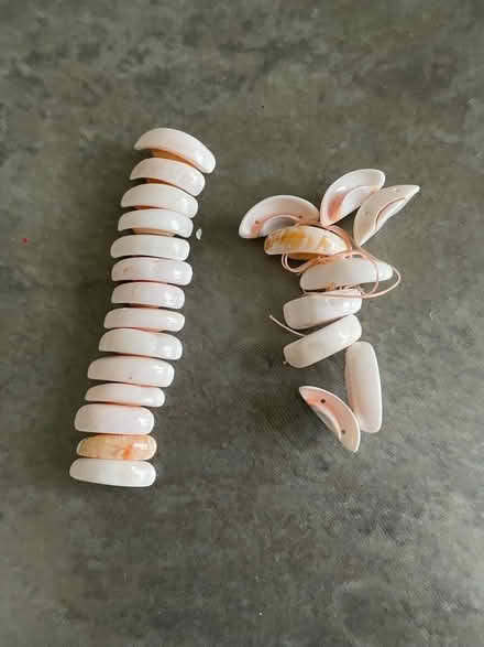 Photo of free Broken pearl bracelet (Lindfield RH16) #2