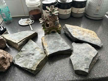 Photo of free Fish tank accessories (Harrow HA3) #1