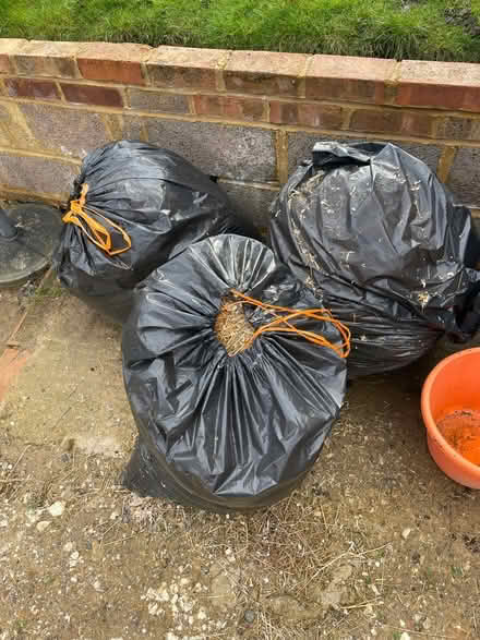 Photo of free Brown compost (Kt234bs) #1