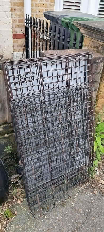 Photo of free outside 67 longhurst raod (SE13 67 longhurst) #2