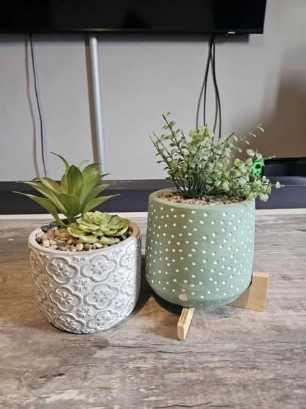 Photo of free Plastic plants (Clapham Common) #2