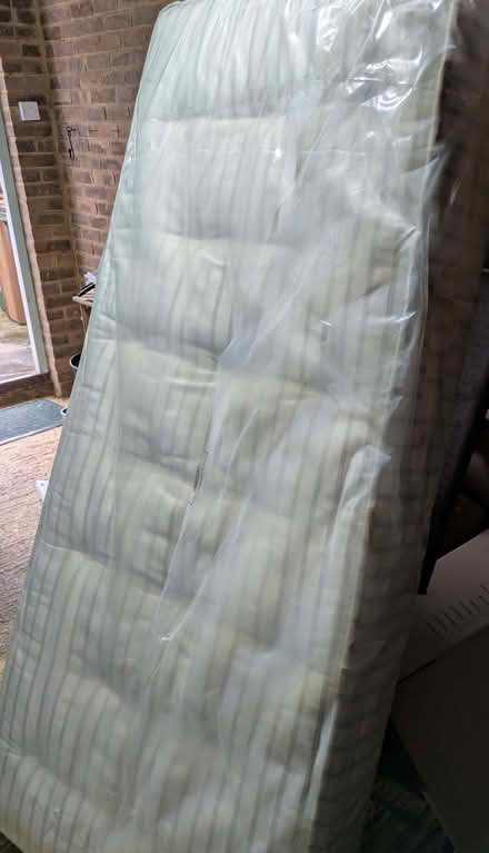 Photo of free Single Bed (Bargate Wood GU7) #3