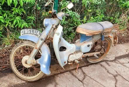 Photo of moped wanted honda (Rose Green PO21) #1