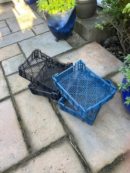 Photo of free 4 plastic trays (North Bersted PO22) #1