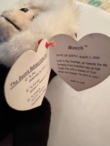 Photo of free TY Monkey (Westbury BA13) #2