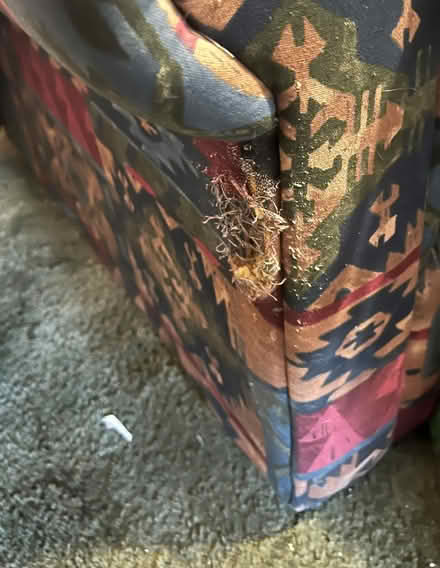 Photo of free Two Seater Sofa (DA12) #2