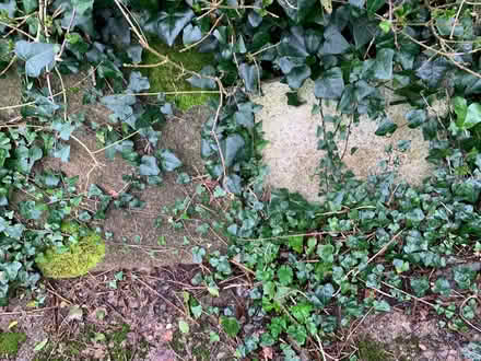 Photo of free Slabs (Penbeagle TR26) #1