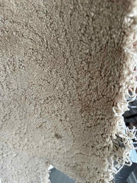 Photo of free carpet pad and carpet (Clear Lake) #2