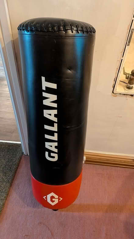 Photo of free Gallant Freestanding punchbag (Greenhill S8) #2