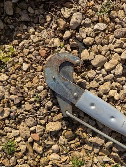 Photo of free Long lopper (Sutton Pools OX14) #3