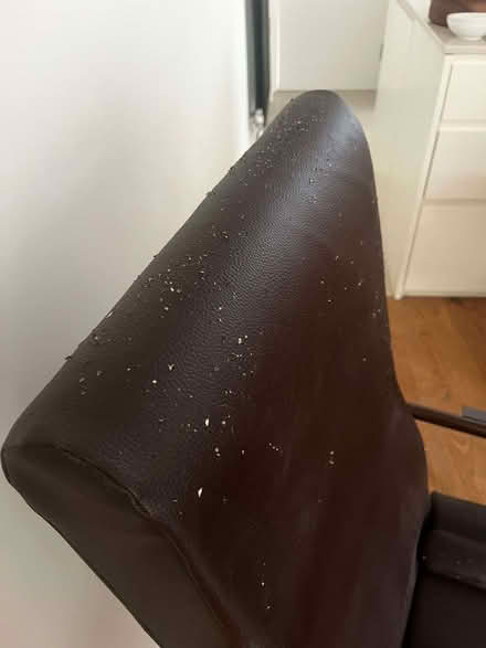 Photo of free high backed chair with high seat (Holland Park W11) #4