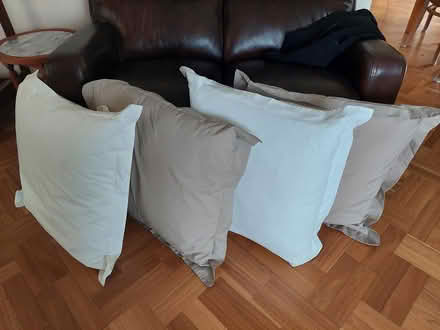 Photo of free European pillows x 4 (Craigieburn) #1