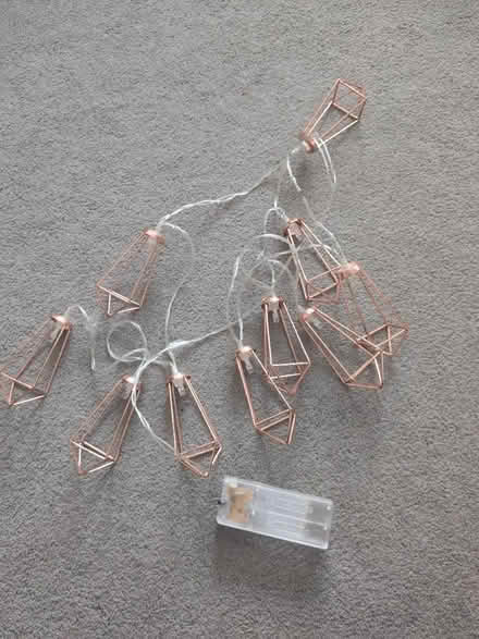Photo of free Battery powered copper fairy lights (Springfield CM1) #1