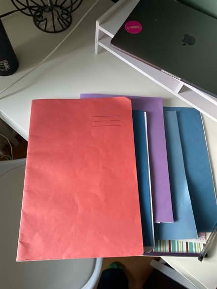 Photo of free Bundle of Lined/Checkered Notebooks (E14 Tower Hamlets) #1