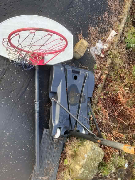 Photo of free Child's basketball net (worn but still usable) (Torbrex FK7) #1