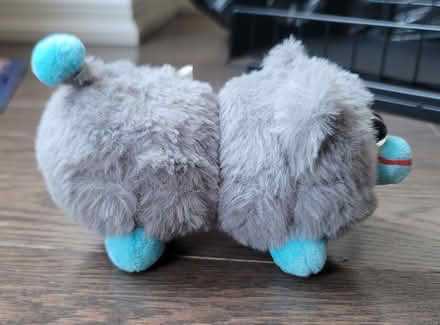 Photo of free Small Peepy squeaker plush toy (Ajax) #2