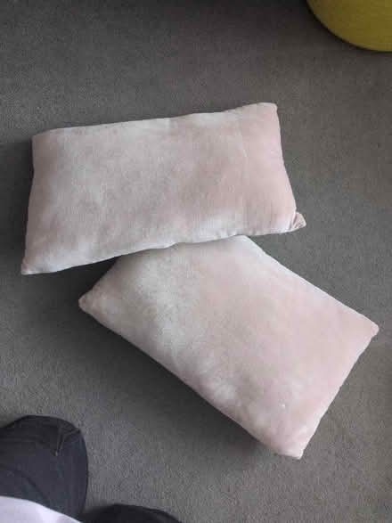 Photo of free Blush pink velvet cushions (Springfield CM1) #1