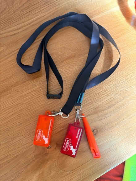 Photo of free Dog bits (Maidenhead SL6) #1