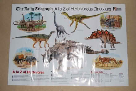 Photo of free 2x Dinosaur Posters (Lee-on-the-Solent PO13) #1