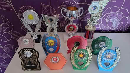 Photo of free trophies (Belle Vue, Shrewsbury) #1