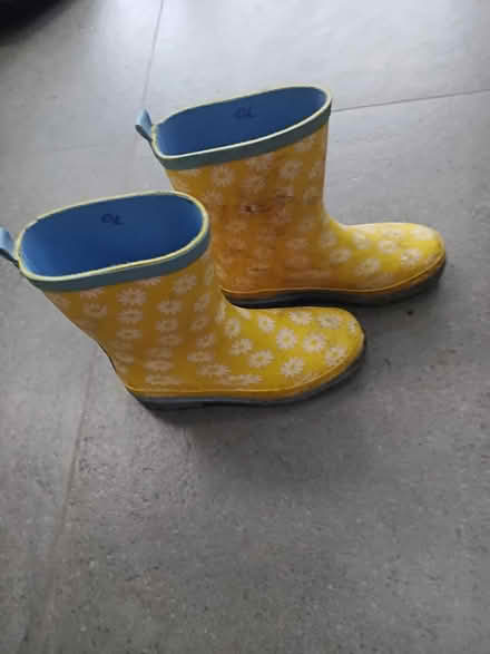 Photo of free Size 3 Wellington Boots (Kingston KT1) #1