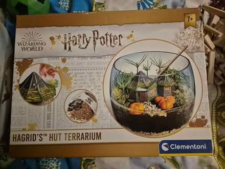 Photo of free Harry Potter terrarium (Maidstone ME15) #1