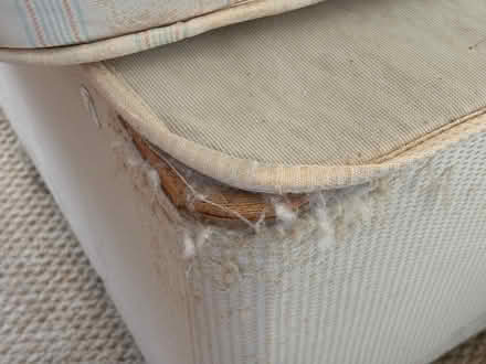 Photo of free Double divan bed (Spital CH63) #3