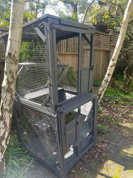 Photo of free Large catio (North Berkeley) #1