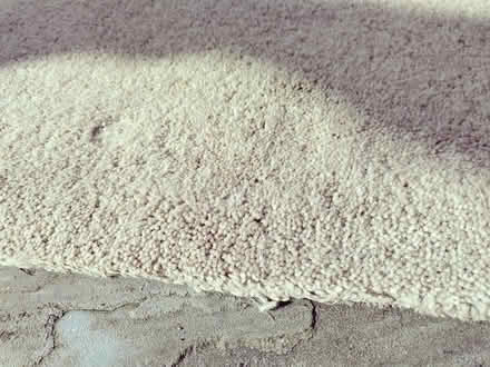 Photo of free Carpet with underlay (Deerpark, Ledbury) #1