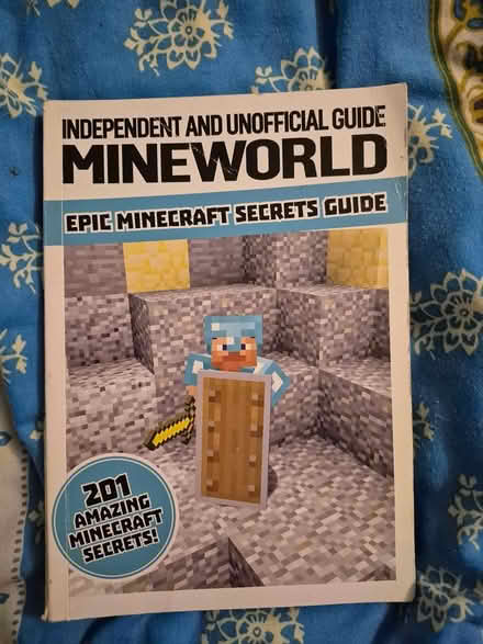 Photo of free Minecraft book (Maidstone ME15) #1
