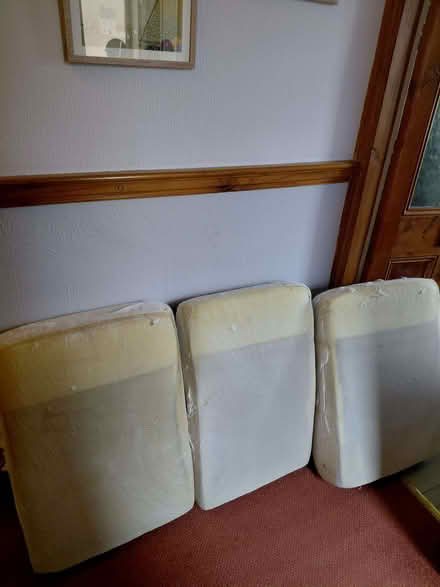 Photo of free Sofa cushions (Barton upon Irwell M30) #1