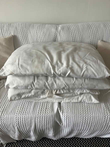 Photo of free 4 bed pillows (NG3 5BQ) #1