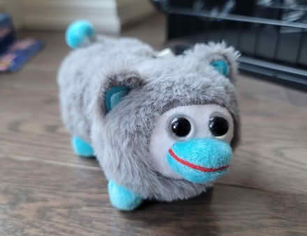 Photo of free Small Peepy squeaker plush toy (Ajax) #1