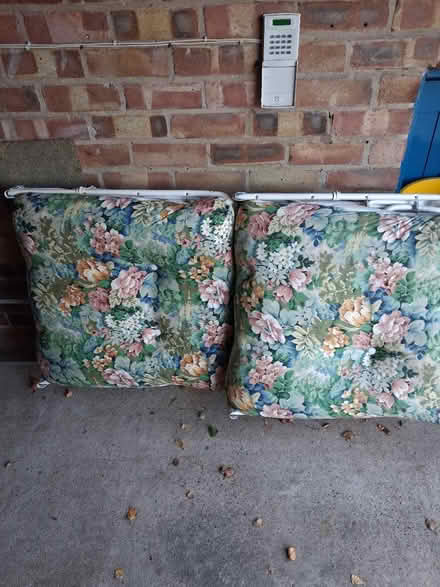 Photo of free 2 sun loungers (Wollaton ng8) #1