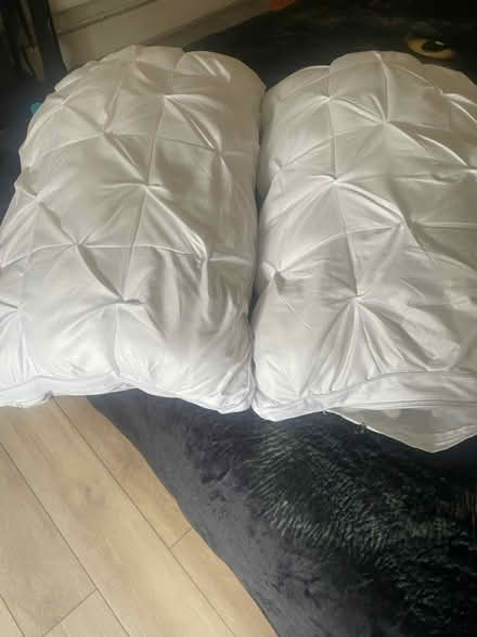 Photo of free Pillows (Brentford) #2