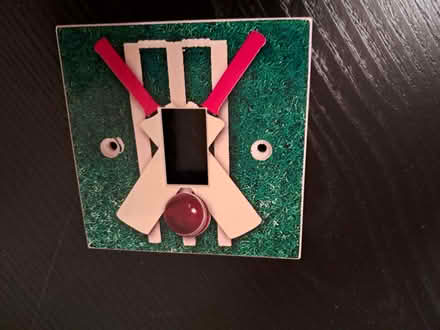 Photo of free Cricket light switch plate (Lower Earley RG6) #1